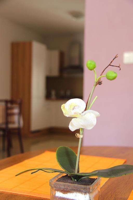 Vila Dravce 객실 사진